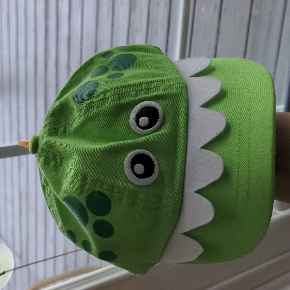 Dinosaur baby hat